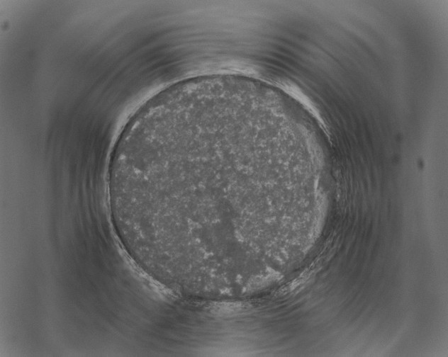 X0000067871088200605111753