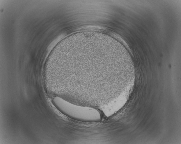 X0000067871091200605111753