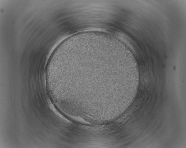 X0000067871092200605111753