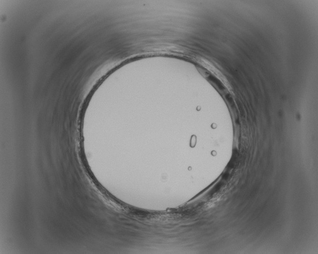 X0000067871093200605111753