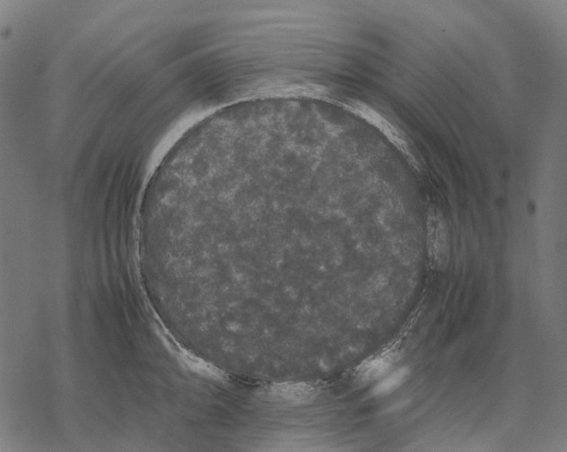 X0000067871094200605111753