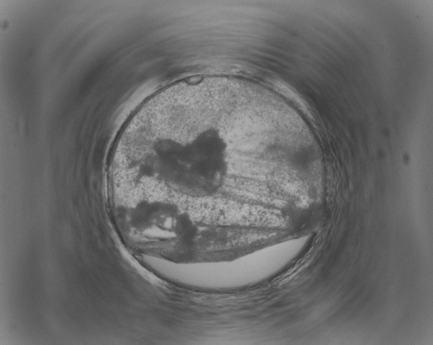 X0000067871095200605111753