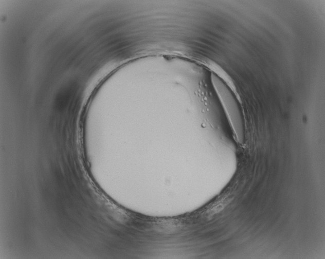 X0000067871096200605111753