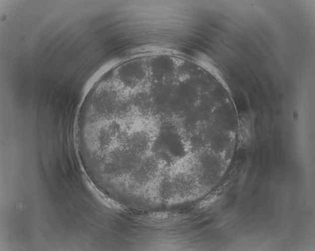 X0000067871098200605111753