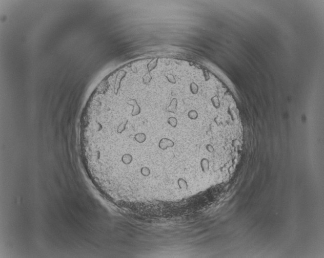 X0000067871099200605111753