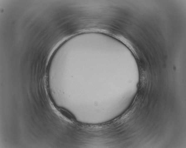 X0000067871100200605111753