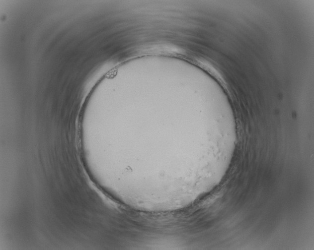 X0000067871103200605111753