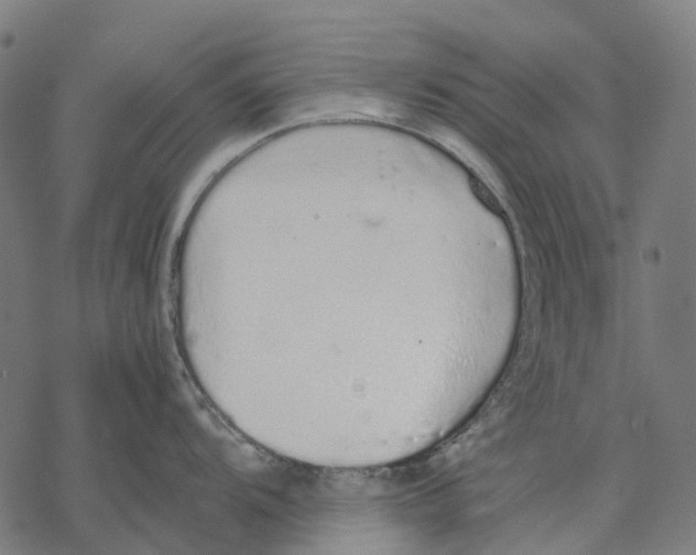 X0000067871104200605111753