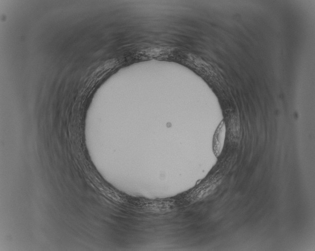 X0000067871105200605111752