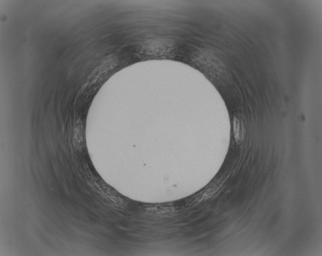 X0000067871107200605111752