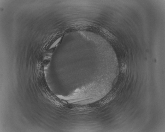 X0000067871108200605111752