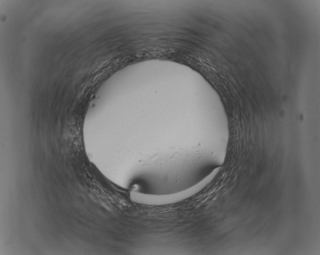 X0000067871109200605111752