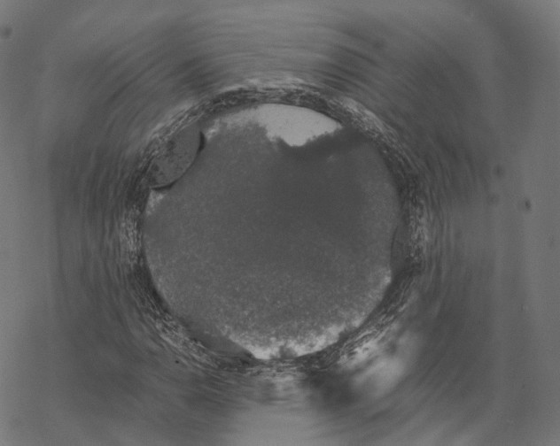 X0000067871110200605111752