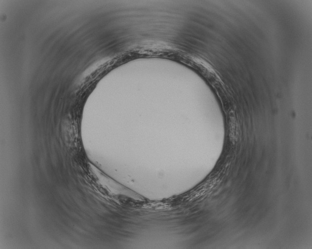 X0000067871112200605111752