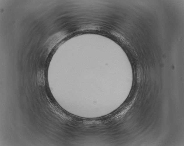 X0000067871113200605111752