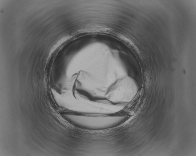 X0000067871114200605111752