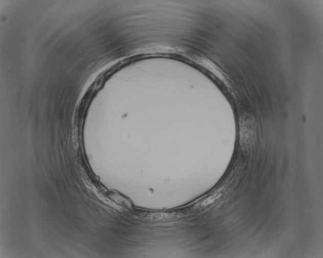 X0000067871116200605111752