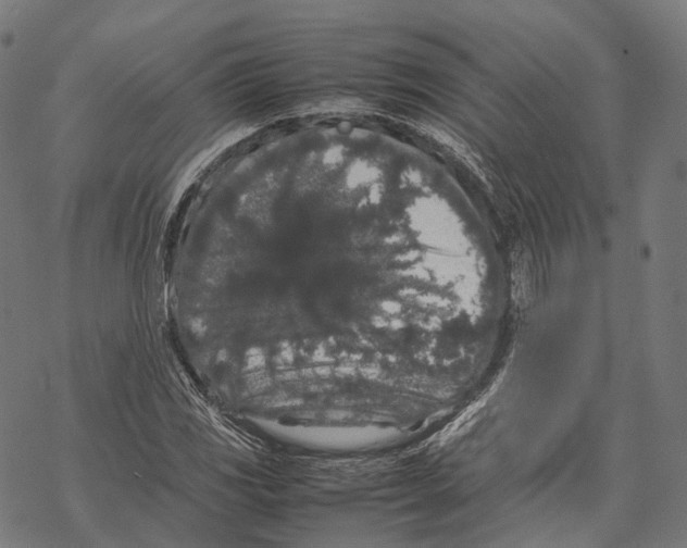 X0000067871117200605111752