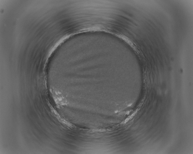 X0000067871118200605111752