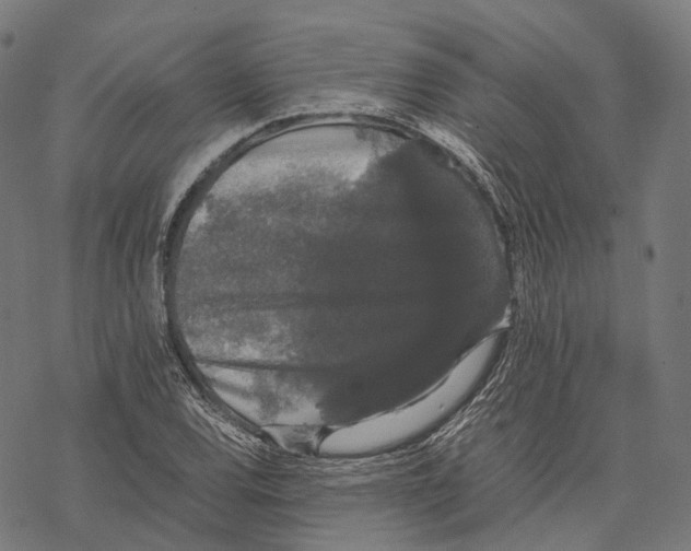 X0000067871120200605111752