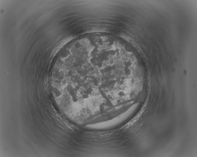 X0000067871121200605111752