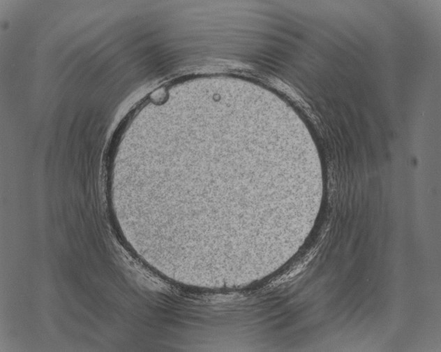 X0000067871122200605111752