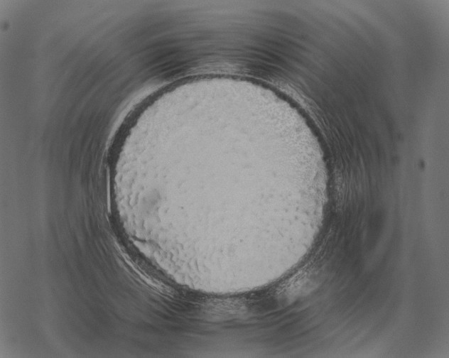 X0000067871123200605111752