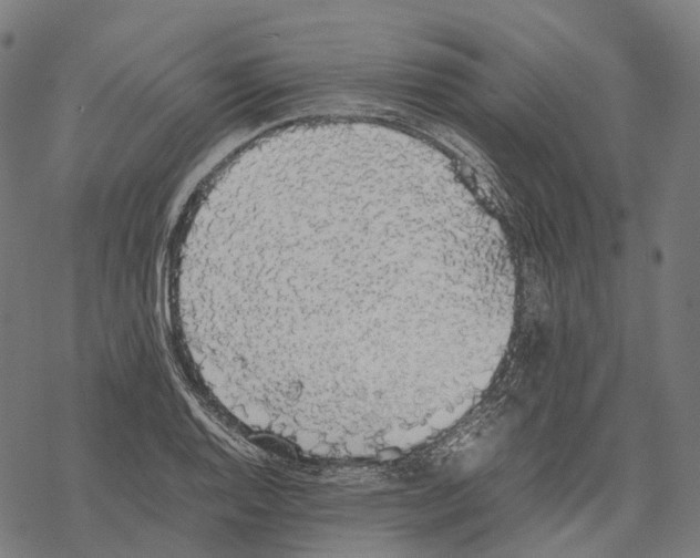 X0000067871128200605111752