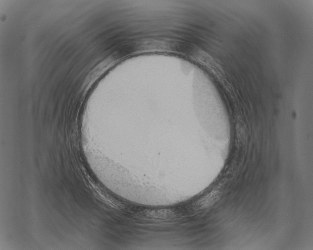 X0000067871129200605111752