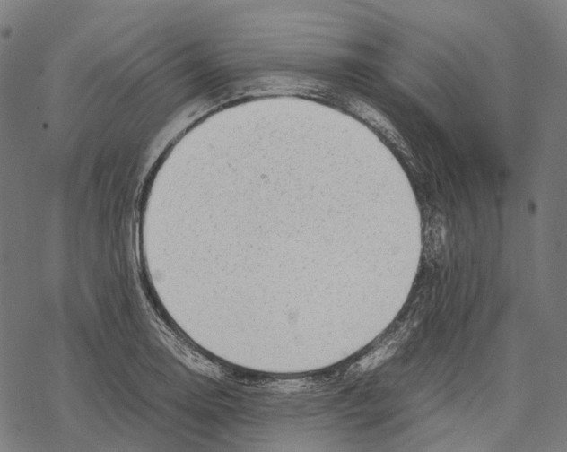 X0000067871130200605111753