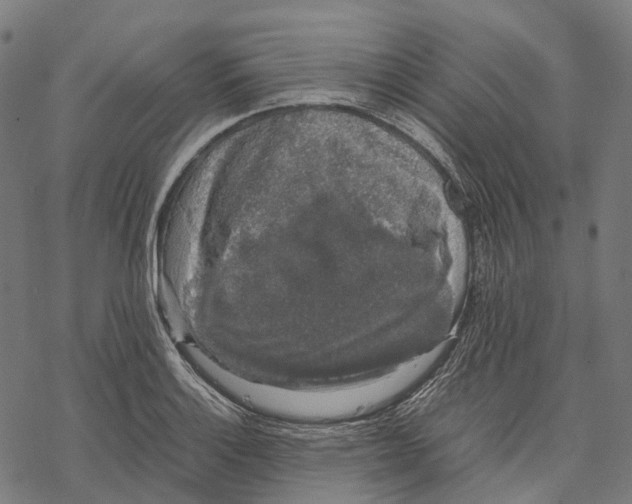 X0000067871132200605111753