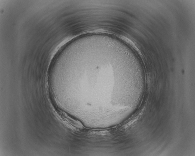 X0000067871133200605111753