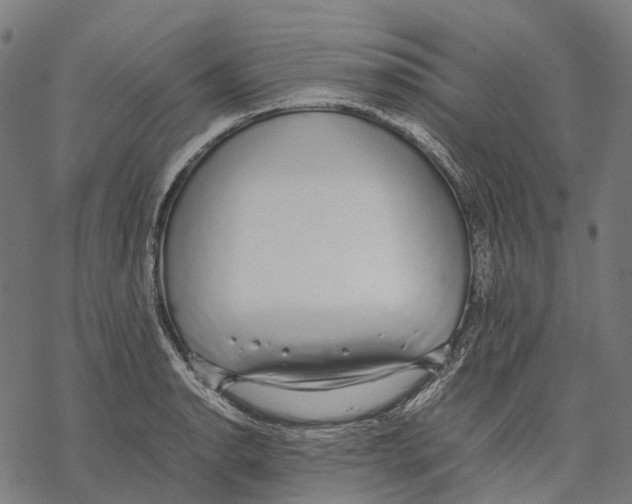 X0000067871134200605111753