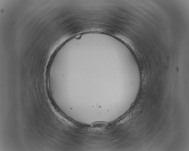 X0000067871135200605111753