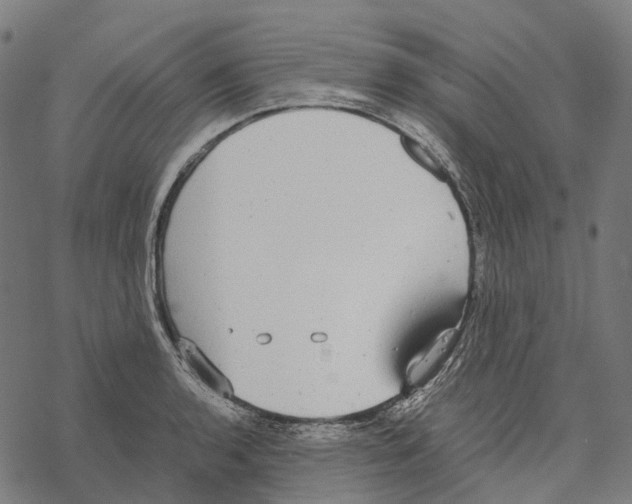 X0000067871136200605111753