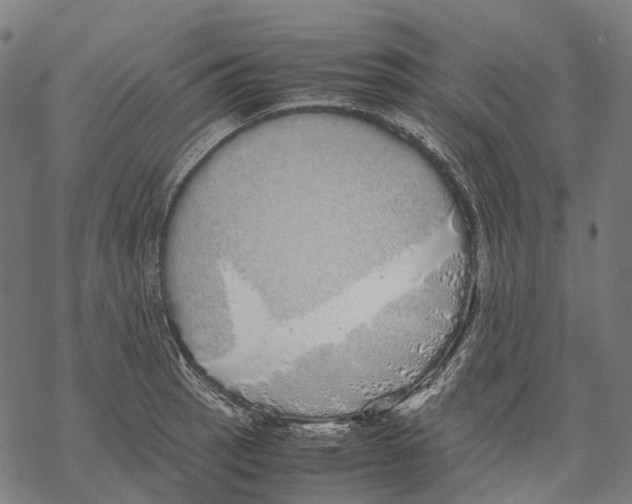 X0000067871137200605111753