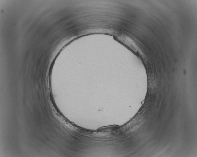 X0000067871140200605111753