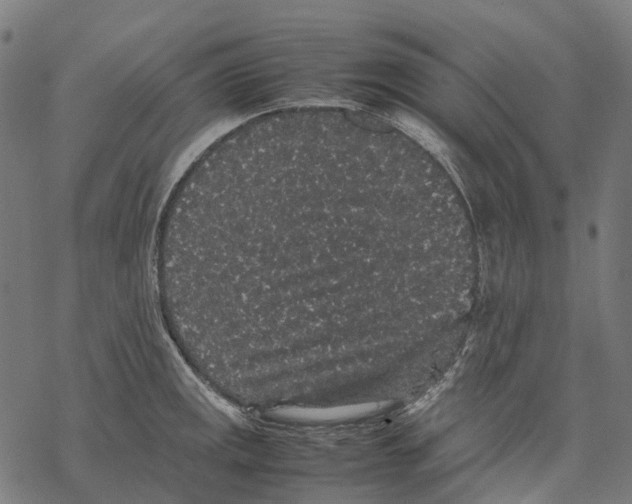 X0000067871141200605111753