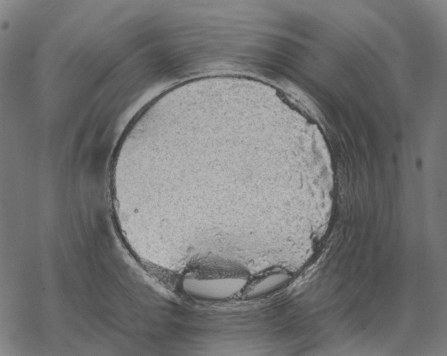 X0000067871142200605111753