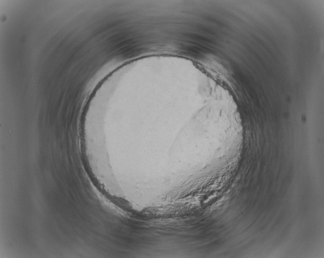 X0000067871143200605111753