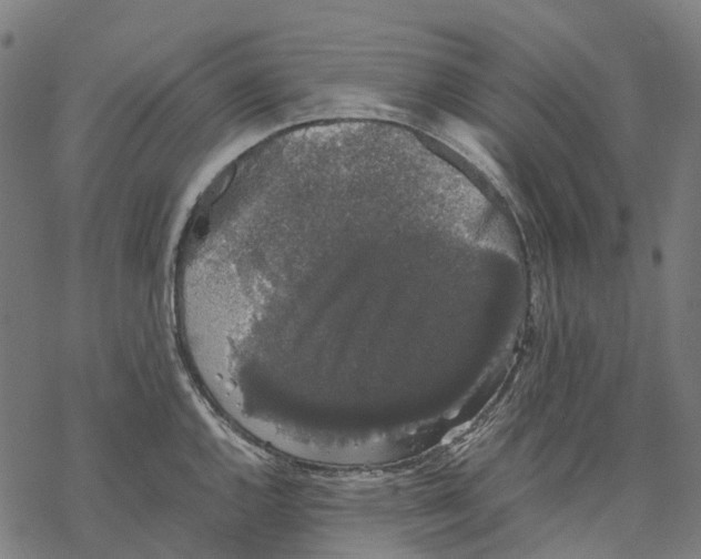 X0000067871144200605111753