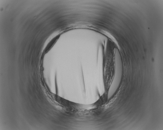 X0000067871146200605111753