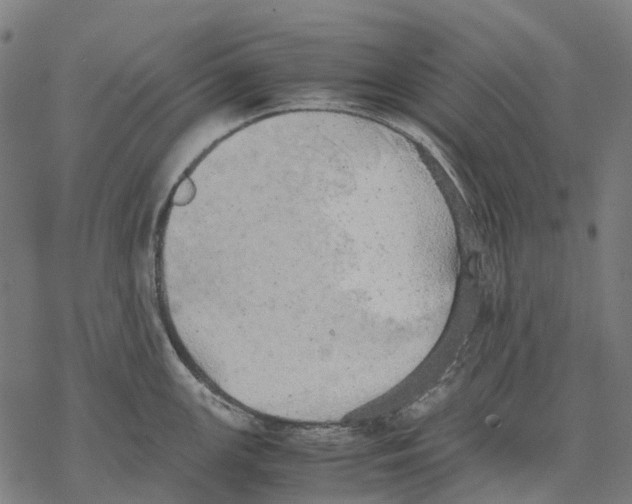 X0000067871147200605111753