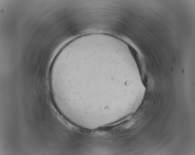 X0000067871148200605111753