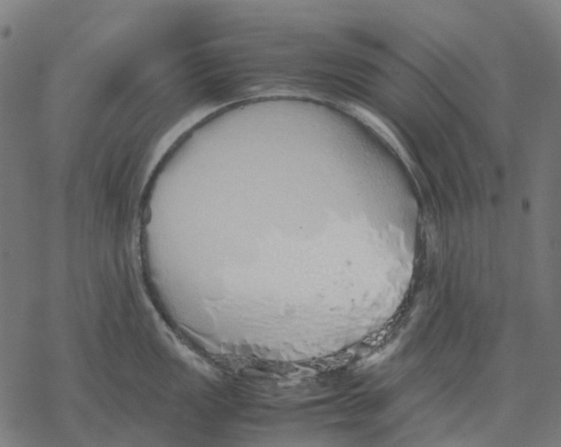 X0000067871149200605111753