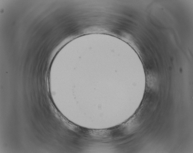 X0000067871150200605111753