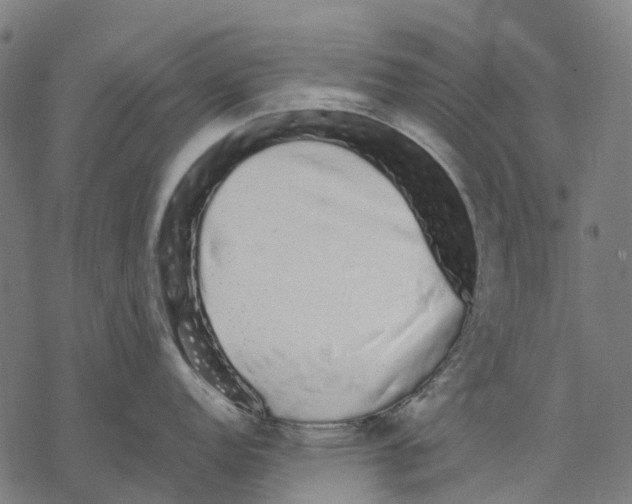 X0000067871152200605111753