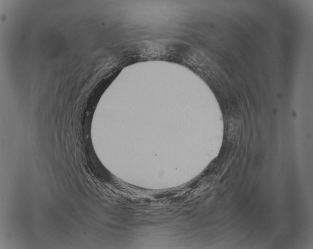 X0000067871153200605111752