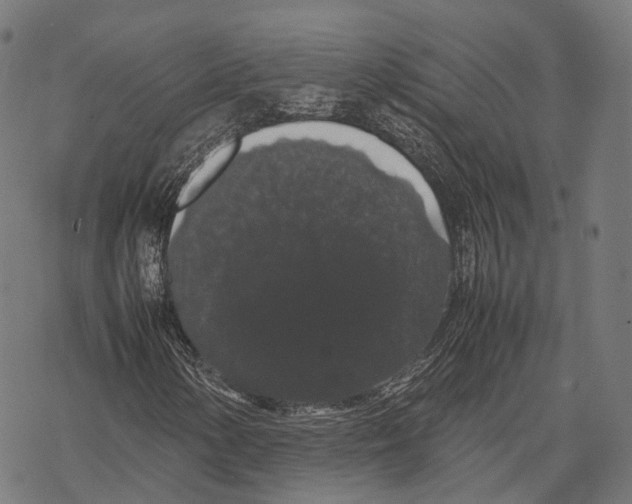 X0000067871154200605111752