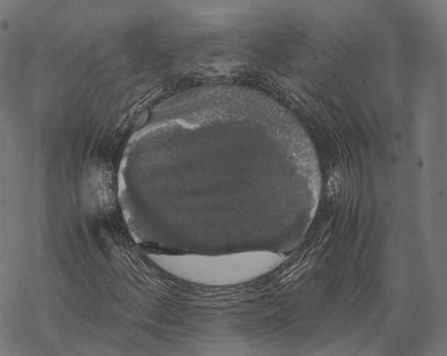 X0000067871156200605111752